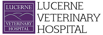 Link to Homepage of Lucerne Veterinary Hospital